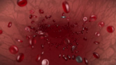 Blutzellen-Rot-Weiß-Vene-Arterie-Blutzellen-Biologie-Medizin-Wissenschaft-Arzt-4k